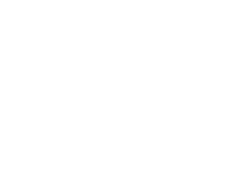 Logo Shure